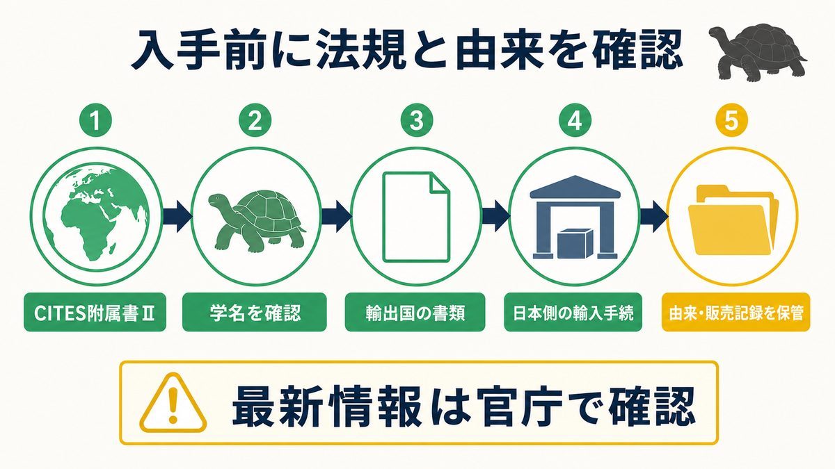 アルダブラゾウガメ入手前のCITES附属書II・学名・輸出入書類・由来記録の確認手順