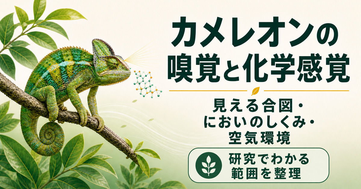 枝にとまるカメレオンと、視覚シグナル・嗅覚の模式経路・清潔な空気環境をまとめた記事アイキャッチ