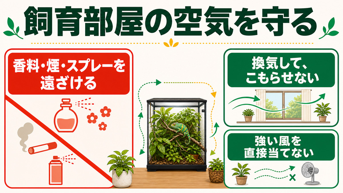 カメレオンのケージから香料・煙・スプレーを遠ざけ、換気しつつ直接風を避ける空気環境図解