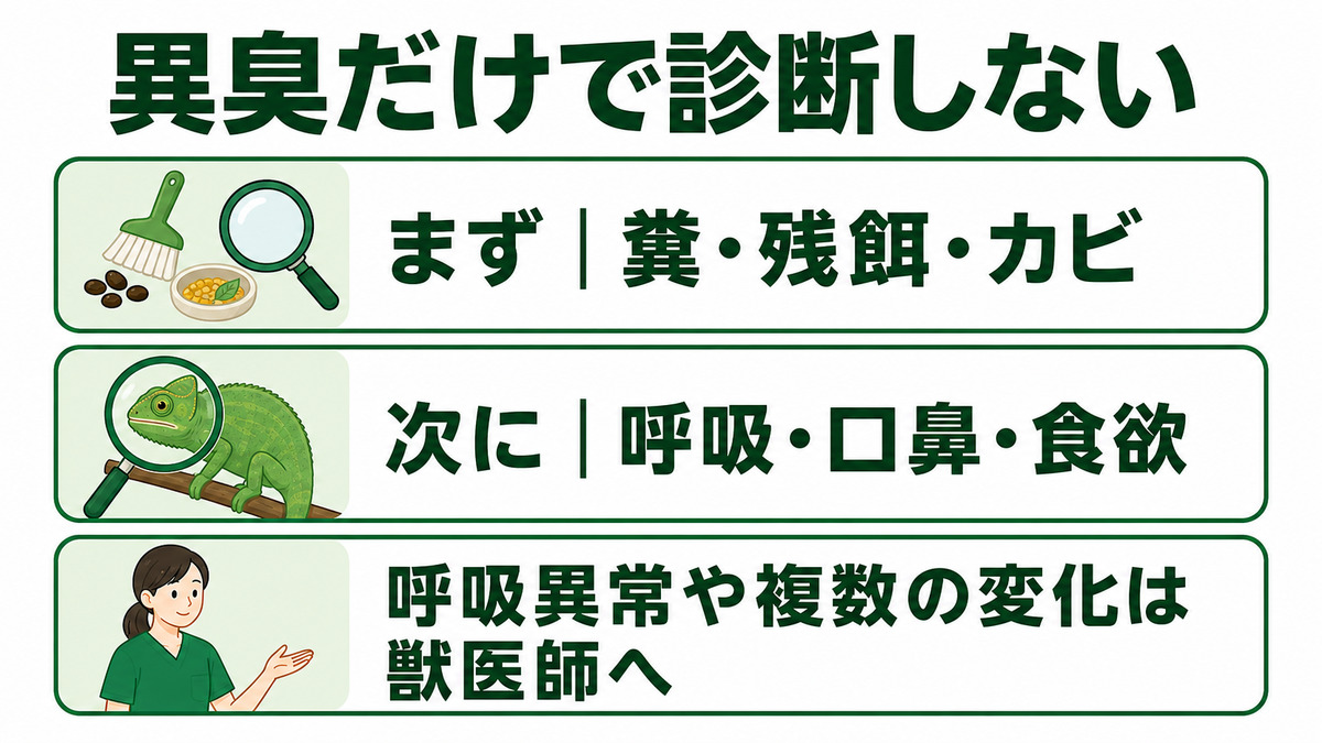 異臭を感じたときに環境、呼吸・口鼻・食欲を順に確認し、呼吸異常や複数の変化がある場合は獣医師へ相談する判断図解