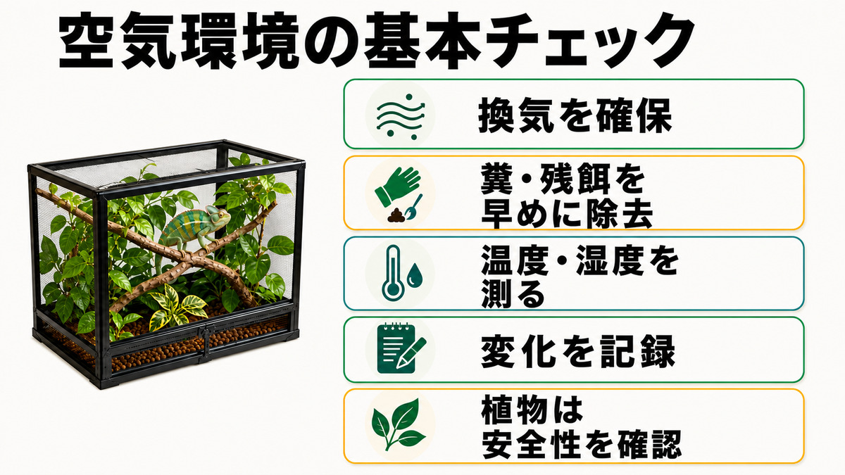カメレオン飼育で換気、清掃、温湿度測定、記録、安全な植物確認を行う空気環境チェック図
