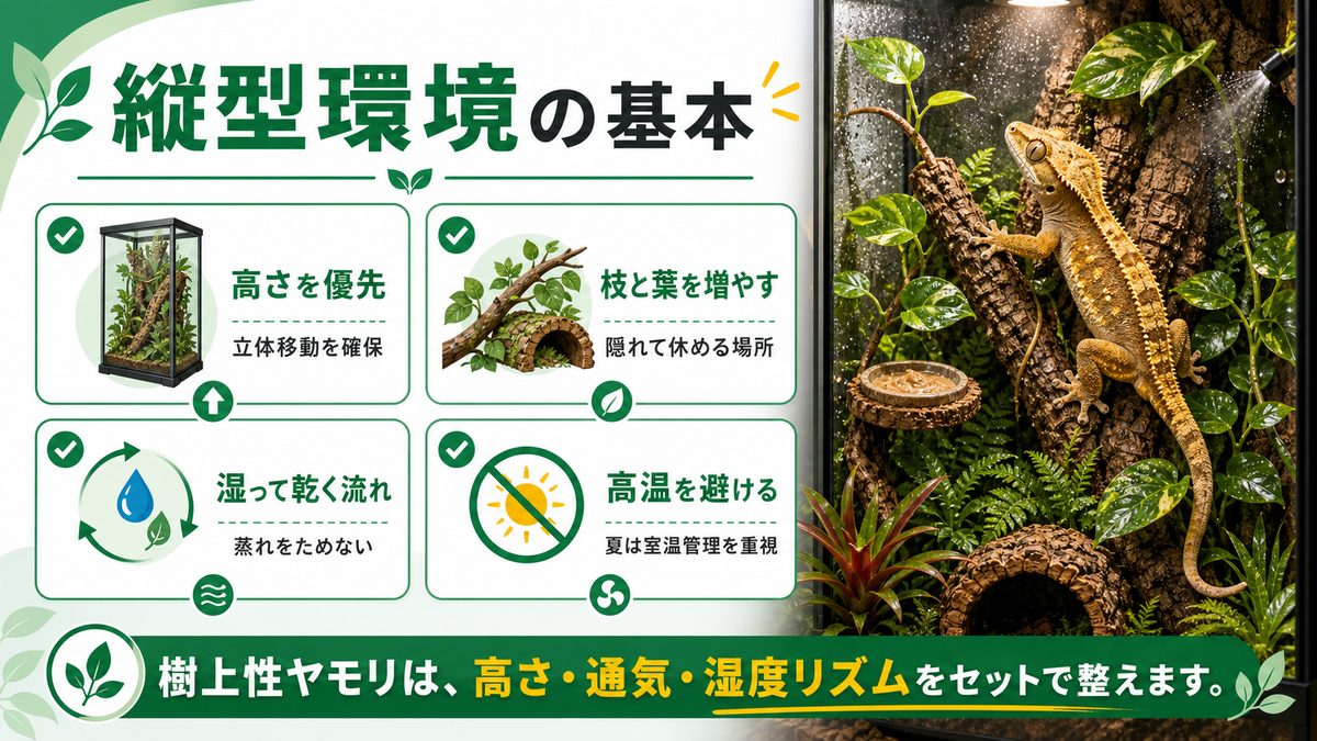 🏠 飼育環境の設定：縦型ケージ・温度・湿度の要点をまとめたカメレオン・爬虫類飼育インフォグラフィック