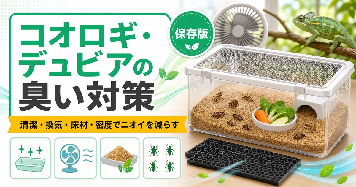 コオロギ・デュビアの臭い対策完全ガイド｜餌虫キーパーの消臭・防臭・換気テクニックの要点を伝えるカメレオン・爬虫類記事アイキャッチ画像