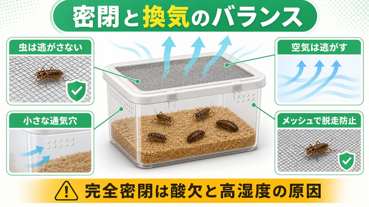 容器選びと密閉/換気のバランスの要点をまとめたカメレオン・爬虫類飼育インフォグラフィック
