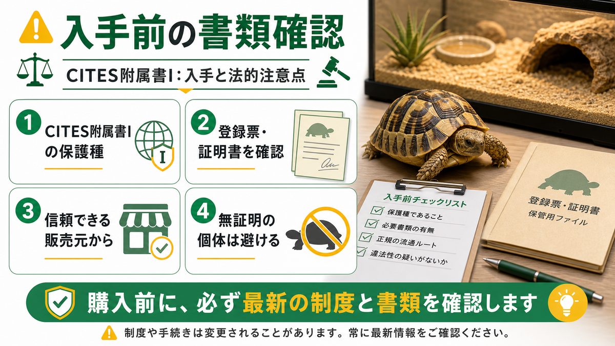 CITES附属書I：入手と法的注意点の要点をまとめたカメレオン・爬虫類飼育インフォグラフィック