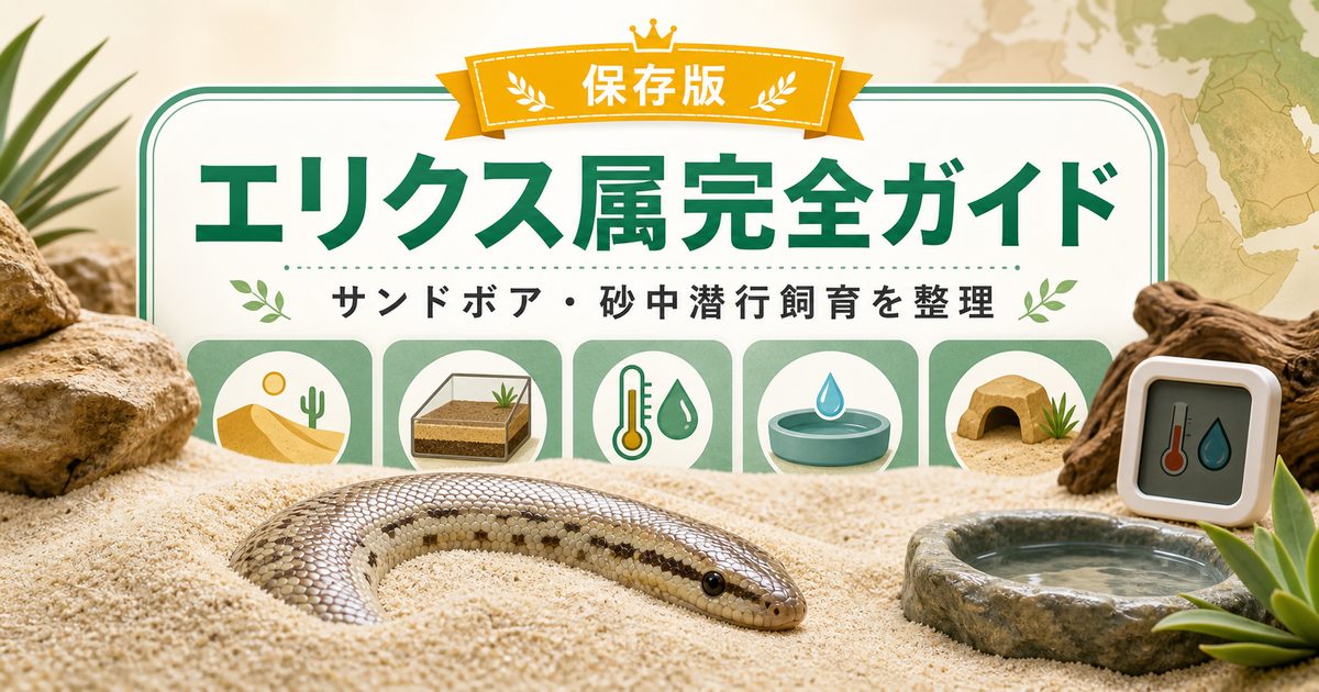 エリクス属（Eryx）完全ガイド｜サンドボア・砂漠系ボアの種類・特徴・砂中潜行飼育法を属レベルで解説の要点を伝えるカメレオン・爬虫類記事アイキャッチ画像