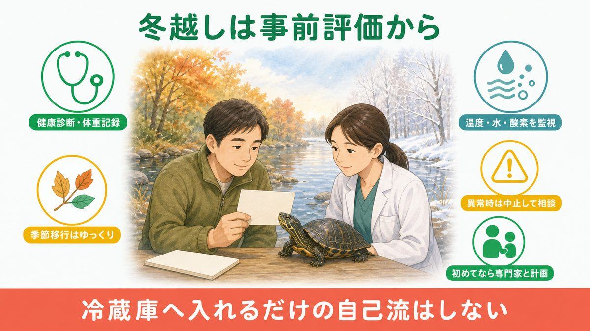 ヨーロッパイシガメの冬越し前の健康評価、季節移行、環境監視、異常時相談を示す図