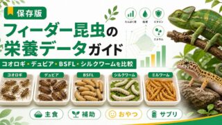 フィーダー昆虫の栄養データ完全ガイド｜コオロギ・ミルワーム・BSFL・シルクワーム等の栄養成分比較と選び方の要点を伝えるカメレオン・爬虫類記事アイキャッチ画像