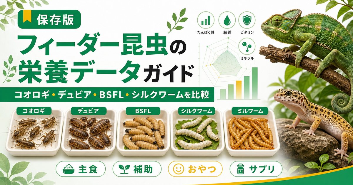 フィーダー昆虫の栄養データ完全ガイド｜コオロギ・ミルワーム・BSFL・シルクワーム等の栄養成分比較と選び方の要点を伝えるカメレオン・爬虫類記事アイキャッチ画像
