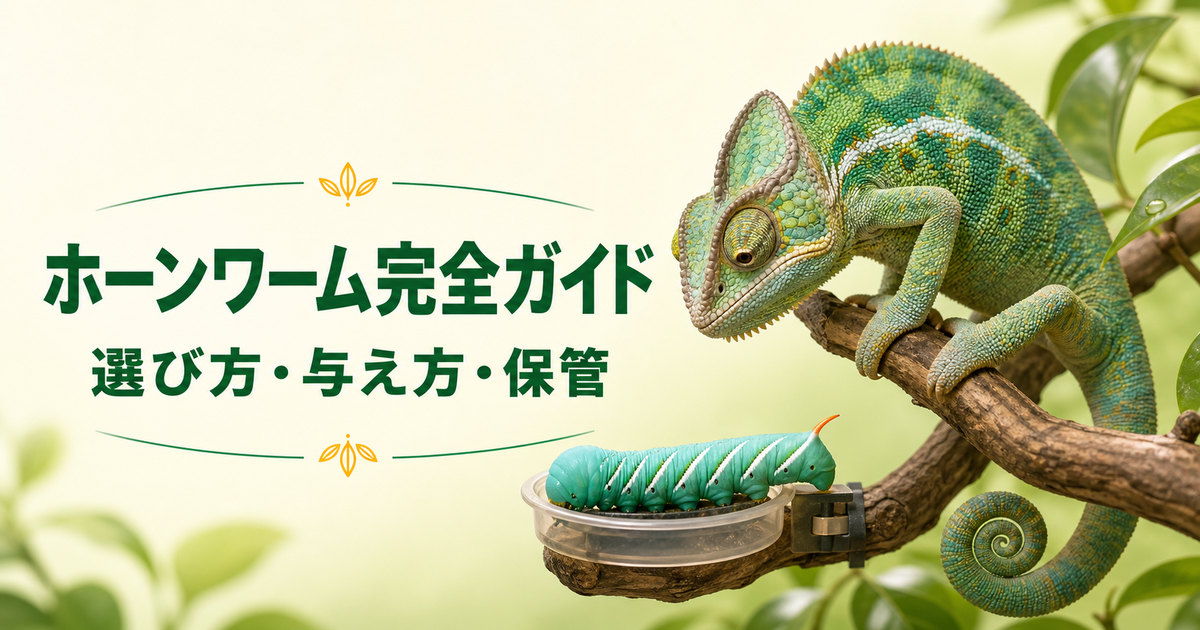 カメレオンと飼育用ホーンワームを描き、選び方・与え方・保管を示すアイキャッチ