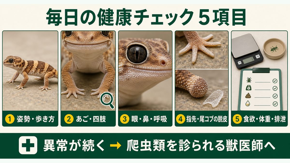 ネフルルス属の姿勢・あご・眼鼻呼吸・脱皮・食欲体重排泄の健康チェック図