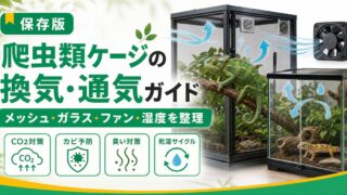 爬虫類ケージの換気・通気完全ガイド｜メッシュvsガラスの換気力比較・換気設計・CO2対策・臭い対策まで徹底解説の要点を伝えるカメレオン・爬虫類記事アイキャッチ画像