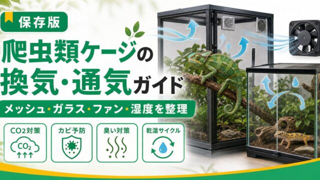 爬虫類ケージの換気・通気完全ガイド｜メッシュvsガラスの換気力比較・換気設計・CO2対策・臭い対策まで徹底解説の要点を伝えるカメレオン・爬虫類記事アイキャッチ画像