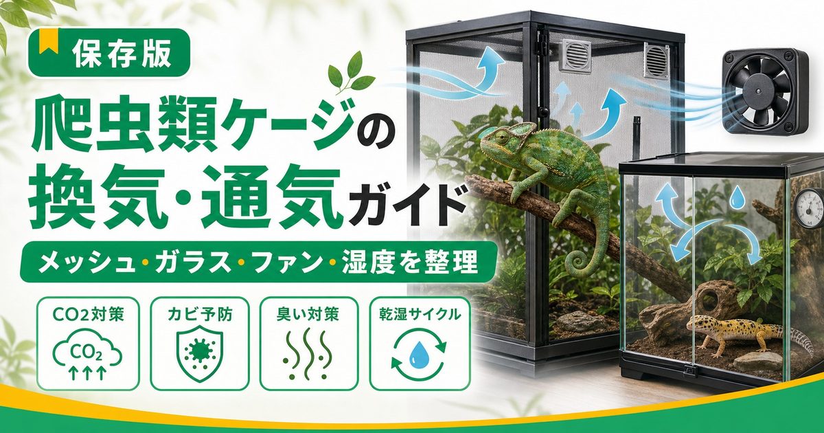 爬虫類ケージの換気・通気完全ガイド｜メッシュvsガラスの換気力比較・換気設計・CO2対策・臭い対策まで徹底解説の要点を伝えるカメレオン・爬虫類記事アイキャッチ画像
