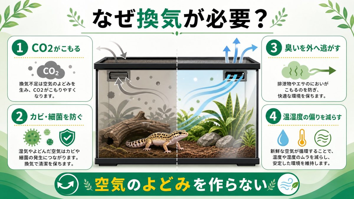 爬虫類ケージに換気が必要な理由🌬️の要点をまとめたカメレオン・爬虫類飼育インフォグラフィック