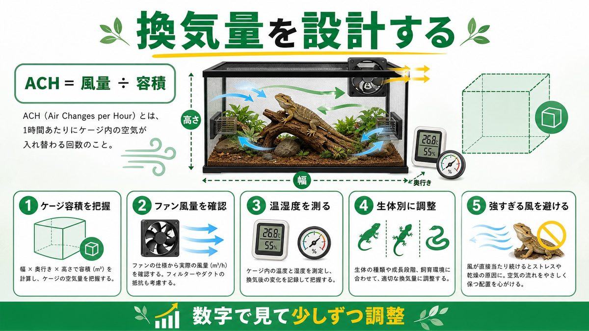 適切な換気量の設計方法｜ACHと種別推奨量💨の要点をまとめたカメレオン・爬虫類飼育インフォグラフィック