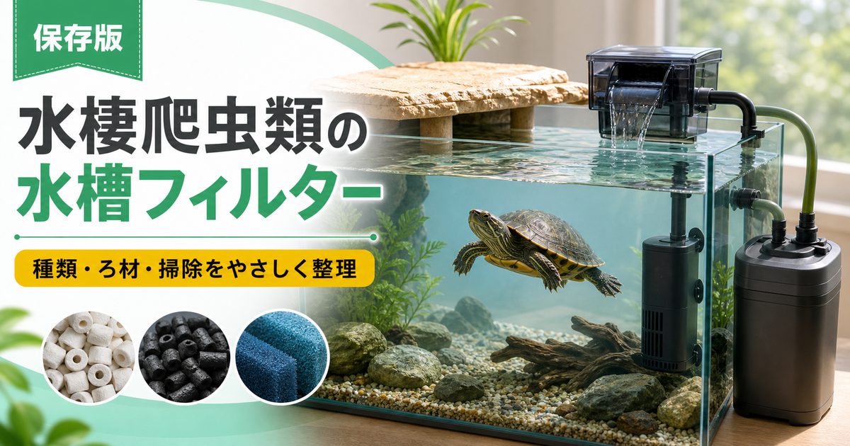 水棲爬虫類の水槽フィルター完全ガイド｜外部式・上部式・水中式の選び方とカメ・水棲ヘビへの最適設定の要点を伝えるカメレオン・爬虫類記事アイキャッチ画像
