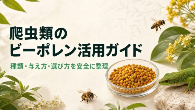 爬虫類のビーポレン活用ガイド｜種類・与え方・選び方