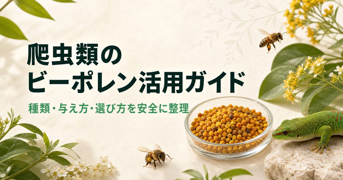 爬虫類のビーポレン活用ガイド｜種類・与え方・選び方