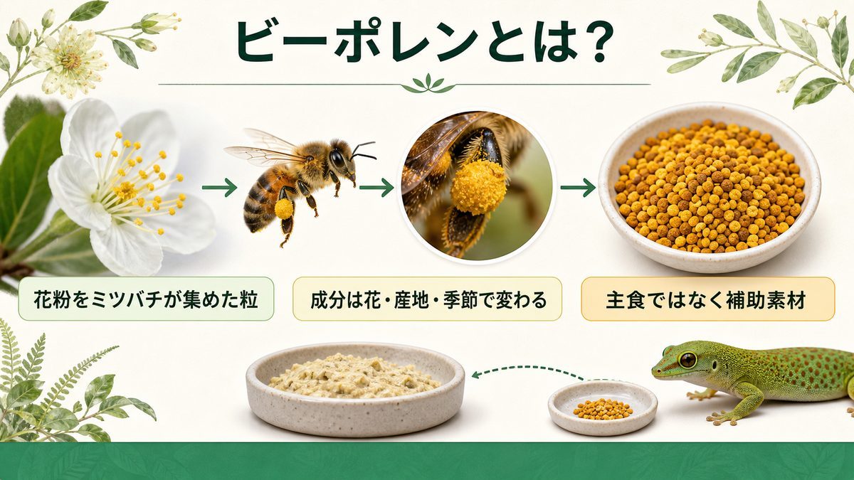 ビーポレンの由来と主食ではない補助素材としての位置づけ