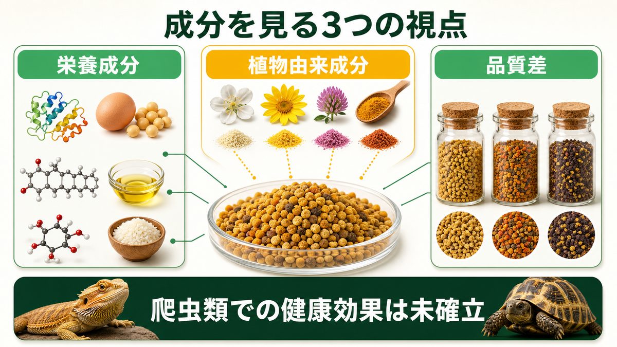 ビーポレンの栄養成分・植物由来成分・品質差と爬虫類での効果の注意