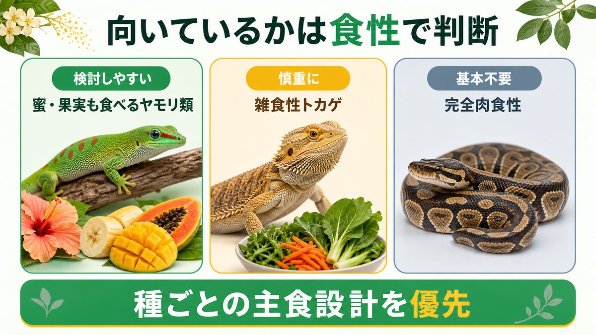 ビーポレンが向く爬虫類を食性別に比較した図