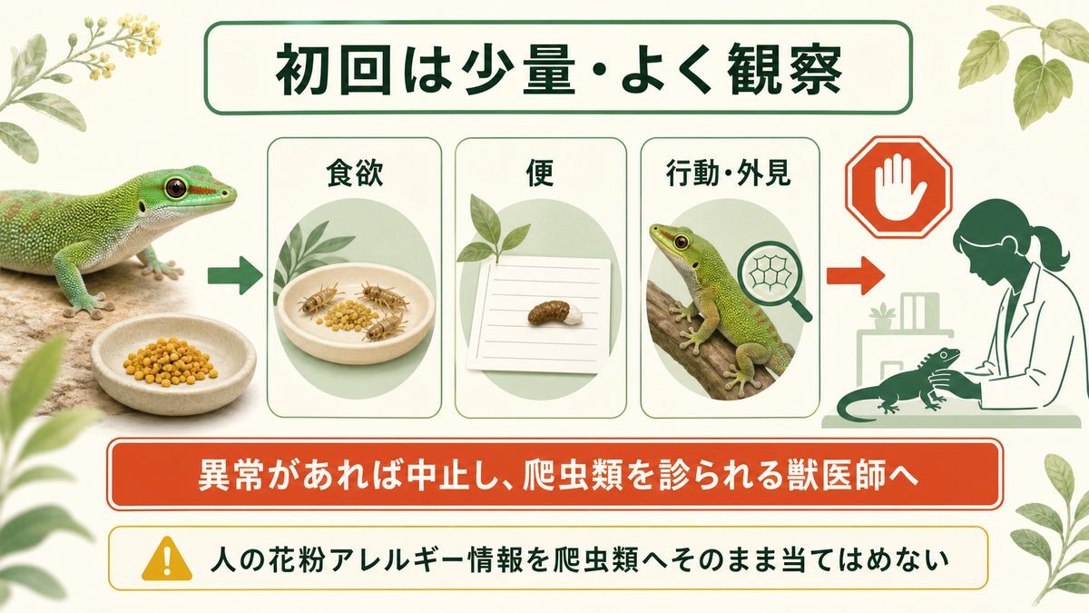 ビーポレン導入時の観察項目と異常時に獣医師へ相談する目安