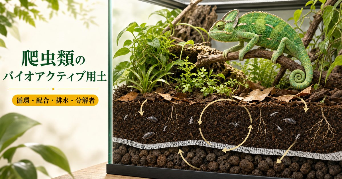 爬虫類のバイオアクティブ用土と排水層・植物・クリーナークルーの循環を描いたアイキャッチ
