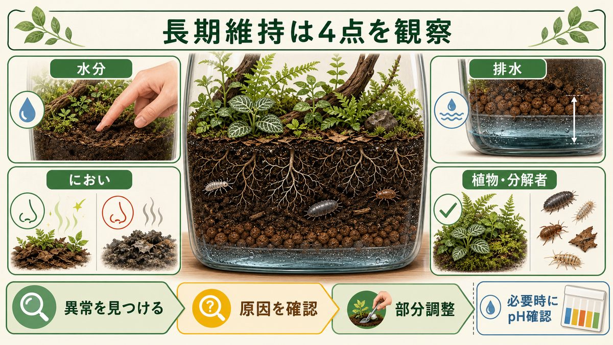 バイオアクティブ用土の水分・排水・におい・植物と分解者を確認する維持管理図