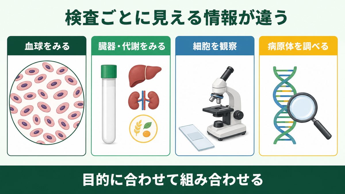 爬虫類の血液検査を血球・化学・塗抹・病原体検査の4つに整理した図