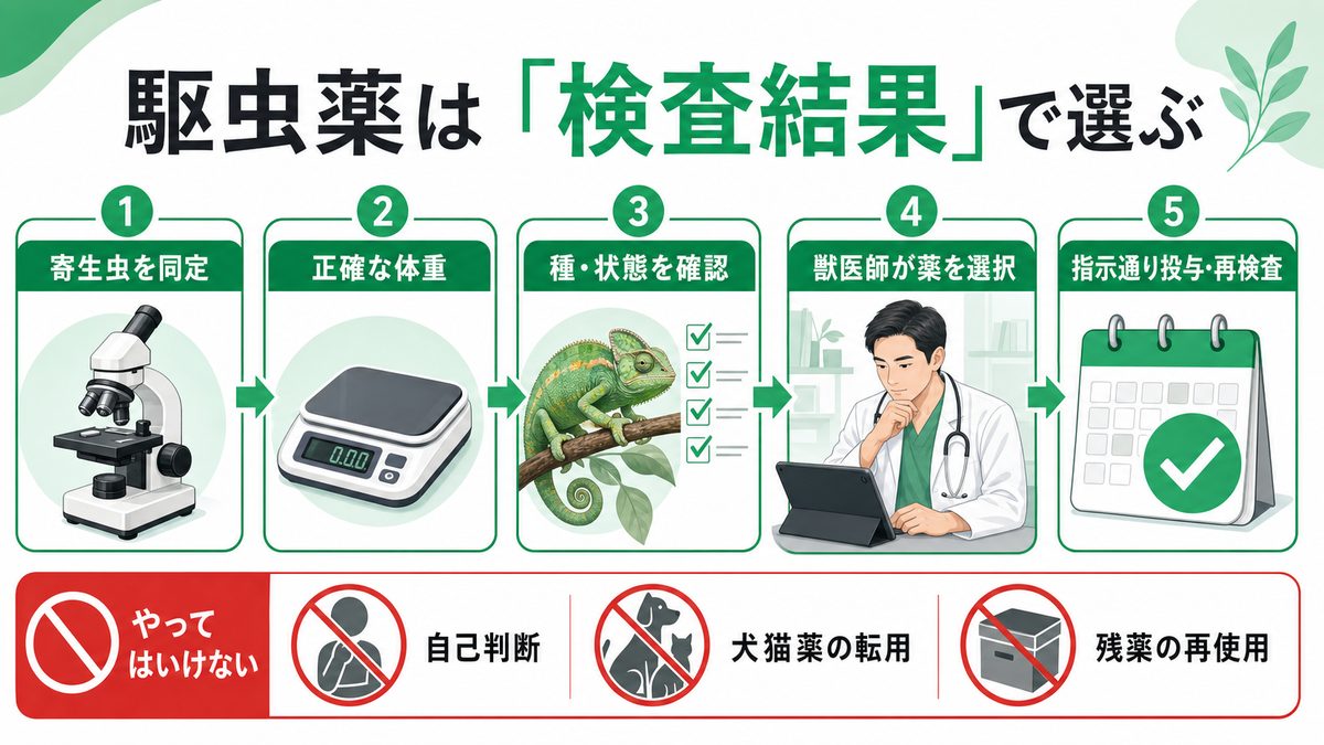 検査結果・体重・種と状態から獣医師が駆虫薬を選ぶ流れ