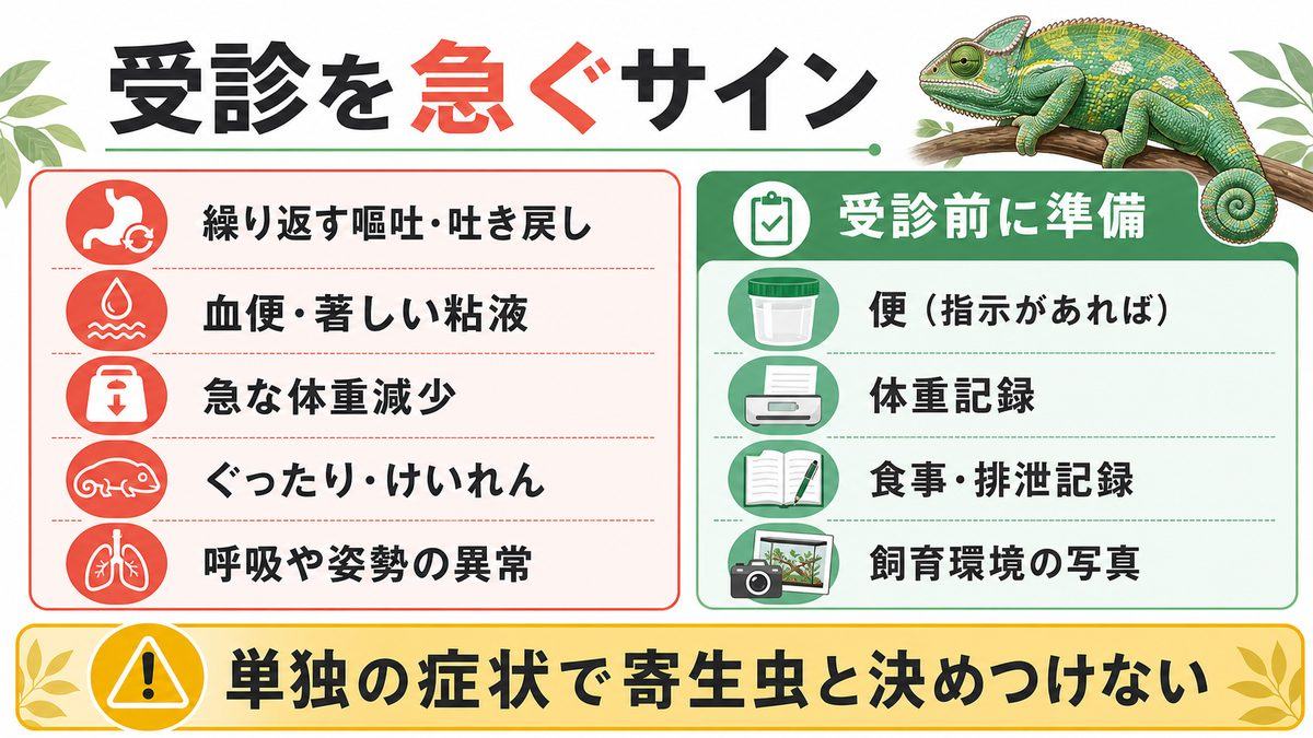 爬虫類の嘔吐・血便・急な体重減少など受診を急ぐサインの図