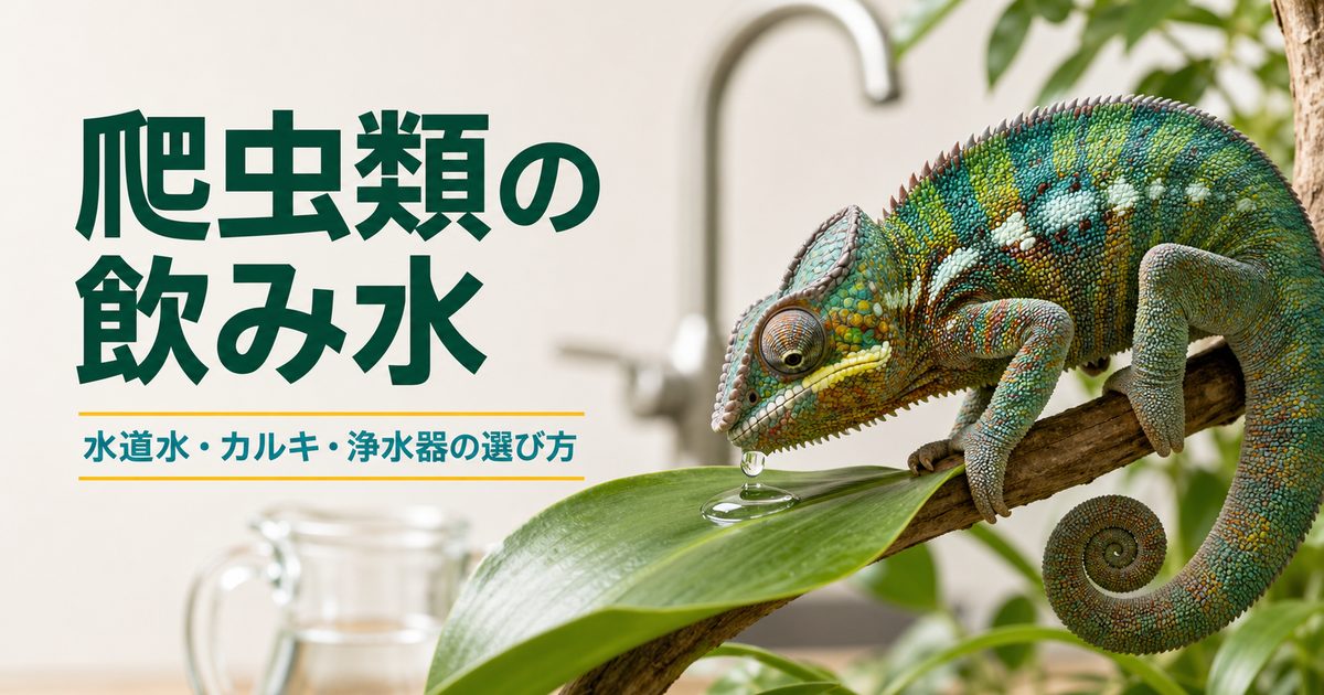 爬虫類の飲み水について水道水・カルキ・浄水器の選び方を示すアイキャッチ