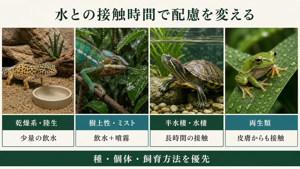 乾燥系・樹上性・水棲爬虫類・両生類の水との接触方法を比較した図