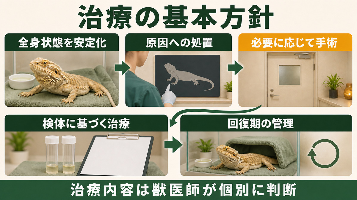 卵黄性体腔炎の安定化、原因処置、必要時の手術、検体検査、回復期管理を示すIMAGE2治療図