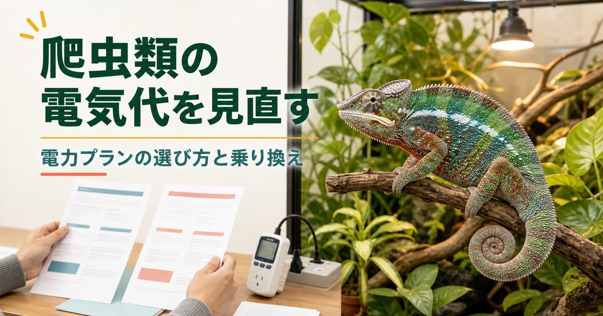 爬虫類飼育の電気代と電力プランを見直すためのアイキャッチ