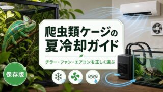 爬虫類ケージの夏冷却ガイド｜チラー・ファン・エアコンの選び方