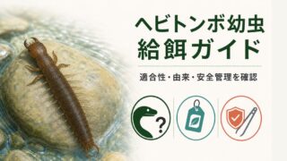 清流の石上にいるヘビトンボ幼虫と適合性・由来・安全管理の確認項目