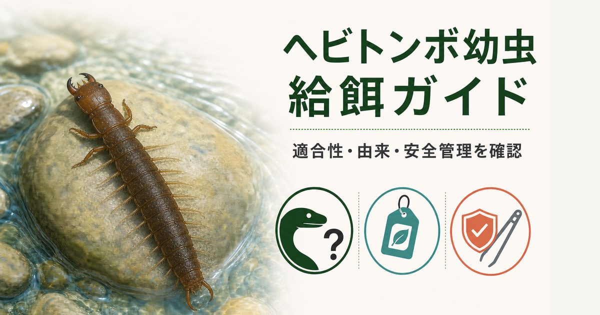 清流の石上にいるヘビトンボ幼虫と適合性・由来・安全管理の確認項目