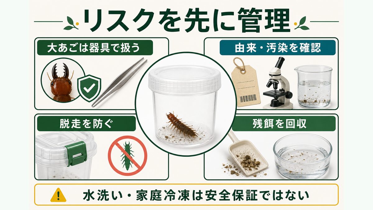 大あご、由来と汚染、脱走、残餌というヘビトンボ幼虫給餌のリスク管理