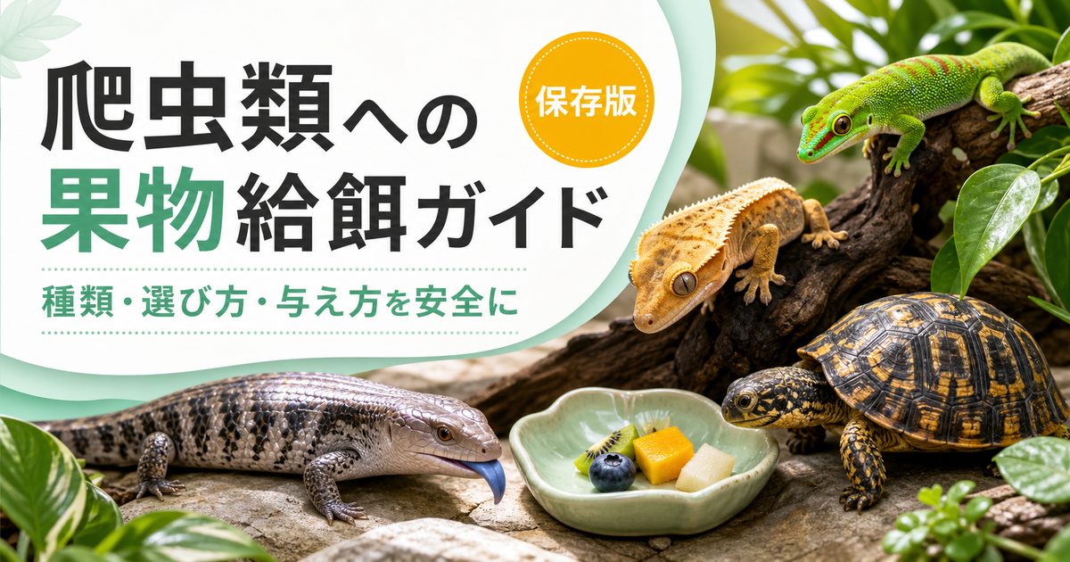 爬虫類への果物・ベリー給餌完全ガイド｜デイゲッコー・スキンク・ハコガメ・雑食トカゲに安全な果物一覧と与え方の要点を伝えるカメレオン・爬虫類記事アイキャッチ画像