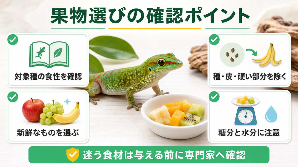 安全な果物一覧と栄養テーブルの要点をまとめたカメレオン・爬虫類飼育インフォグラフィック