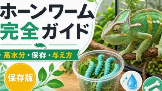 爬虫類のホーンワーム（タバコスズメガ幼虫）完全ガイド！高カルシウム・高水分な生き餌の特徴・保存・与え方を徹底解説の要点を伝えるカメレオン・爬虫類記事アイキャッチ画像