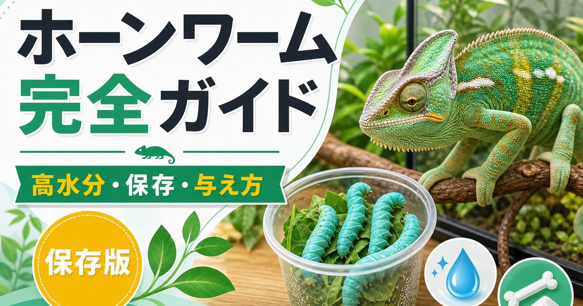 爬虫類のホーンワーム（タバコスズメガ幼虫）完全ガイド！高カルシウム・高水分な生き餌の特徴・保存・与え方を徹底解説の要点を伝えるカメレオン・爬虫類記事アイキャッチ画像