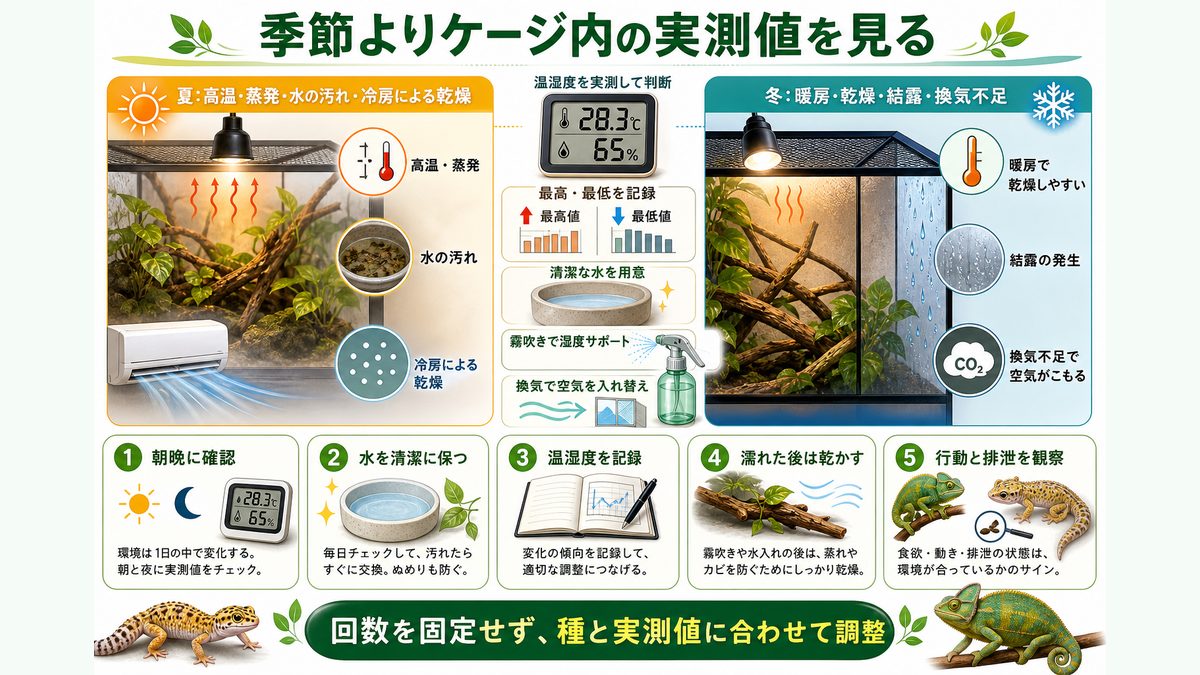 季節・環境別の給水管理|夏の脱水対策・冬の乾燥対策の要点をまとめたカメレオン・爬虫類飼育インフォグラフィック