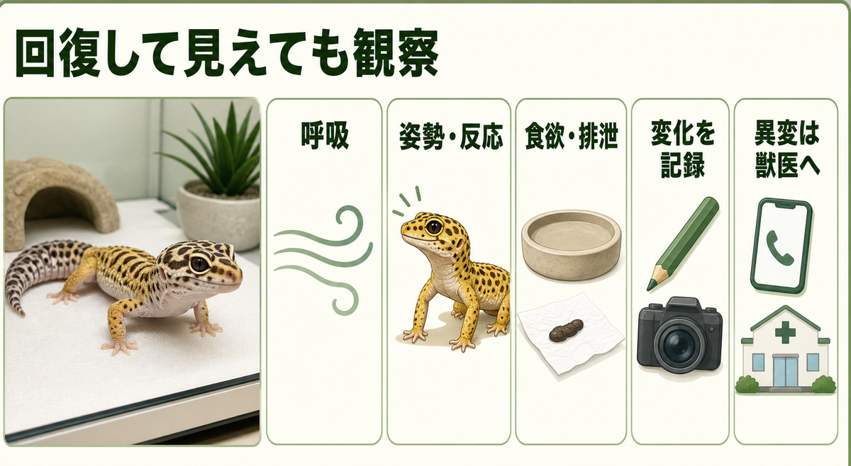 回復して見える爬虫類の呼吸、姿勢、反応、食欲、排泄を記録し異変を獣医へ伝えるIMAGE2図解