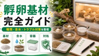 爬虫類の孵卵基材完全ガイド｜バーミキュライト・パーライト・ハッチライト・バイオダイトの選び方と使い方の要点を伝えるカメレオン・爬虫類記事アイキャッチ画像