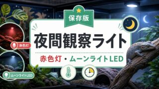 爬虫類の夜間観察ライト完全ガイド｜赤色灯・ムーンライトLEDの選び方と正しい使い方の要点を伝えるカメレオン・爬虫類記事アイキャッチ画像