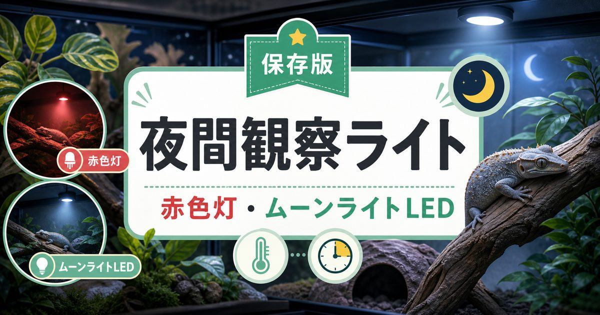 爬虫類の夜間観察ライト完全ガイド｜赤色灯・ムーンライトLEDの選び方と正しい使い方の要点を伝えるカメレオン・爬虫類記事アイキャッチ画像