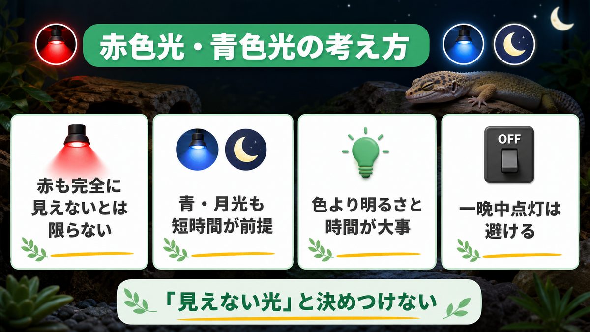 赤色光・青色光の違いと最新の考え方の要点をまとめたカメレオン・爬虫類飼育インフォグラフィック